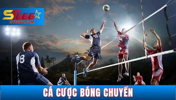 Tại sao nên thử sức với cá cược bóng chuyền?