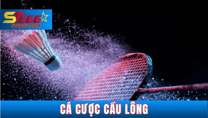 Ưu điểm và nhược điểm khi cược cầu lông tại ST666