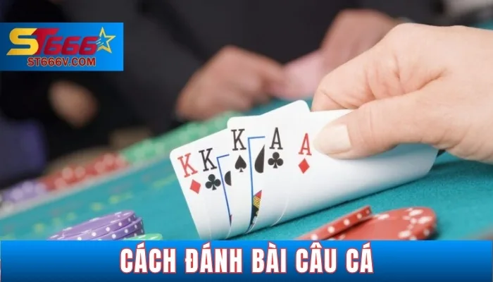 ST666V - Hướng Dẫn Chi Tiết 7 Bước Cách Chơi Bài Câu Cá Dễ Hiểu 2 Luật chơi bài câu cá cơ bản cho người mới bắt đầu
