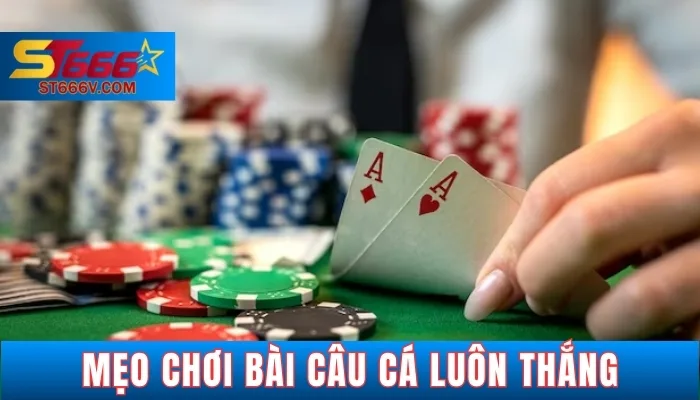 ST666V - Hướng Dẫn Chi Tiết 7 Bước Cách Chơi Bài Câu Cá Dễ Hiểu 3 Mẹo và chiến thuật chơi bài câu cá dễ thắng từ ST666V