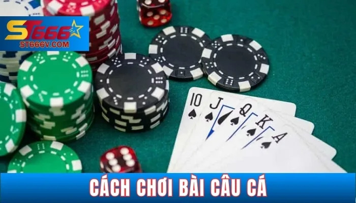 ST666V - Hướng Dẫn Chi Tiết 7 Bước Cách Chơi Bài Câu Cá Dễ Hiểu 1 Bài câu cá là gì?