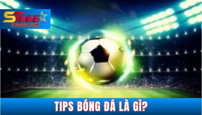 Các loại tips bóng đá đa dạng nhất hiện nay