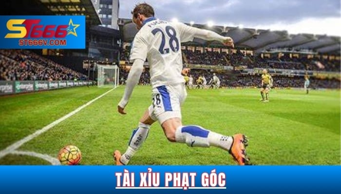 Tổng Quan Về Tài Xỉu Phạt Góc Tìm Hiểu Từ A Đến Z 1 Tài xỉu phạt góc