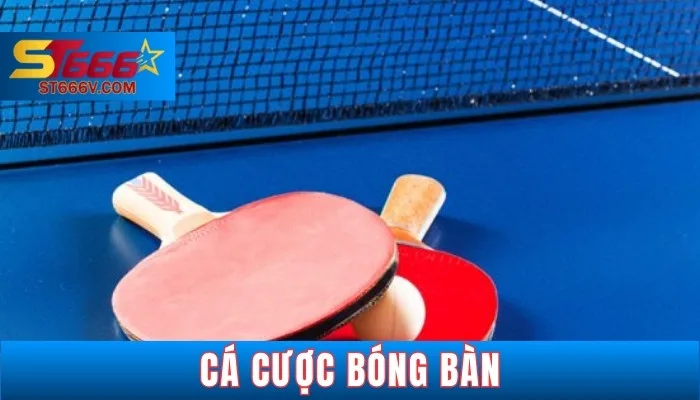 Cá cược bóng bàn là gì?