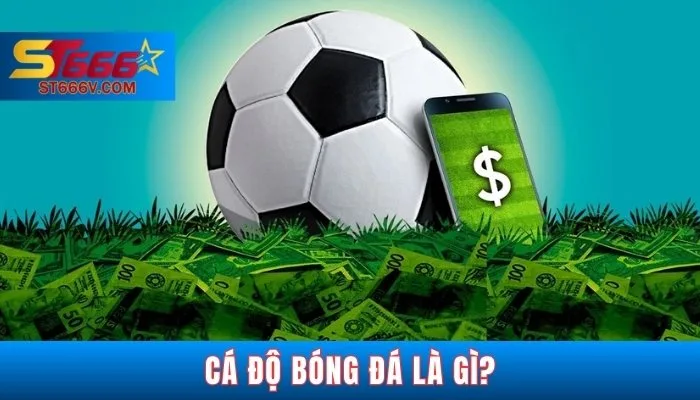 Cá độ bóng đá là gì