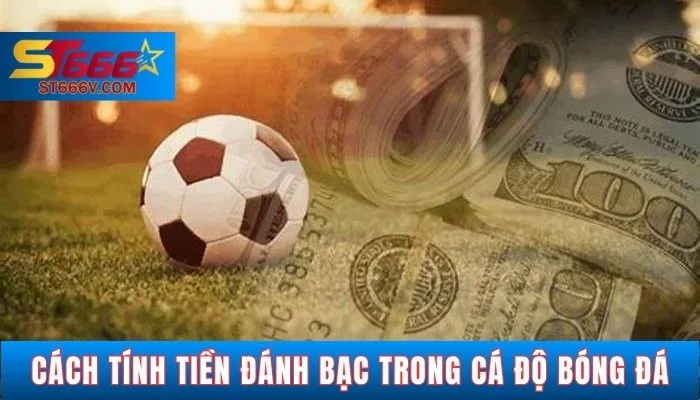 Cách Tính Tiền Đánh Bạc Trong Cá Độ Bóng Đá